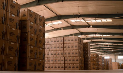 新春走基层特别报道 